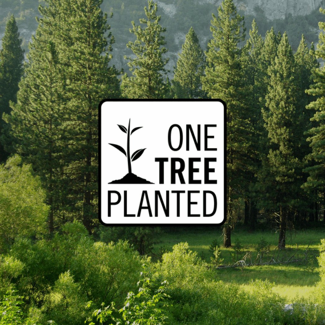 Donation of a Tree - Wanderlustygermans